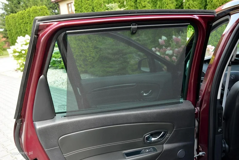 Renault Scenic III 17