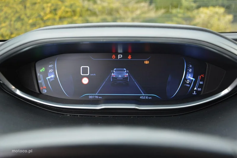 Peugeot 3008 25