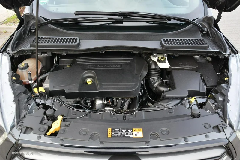 Ford Kuga II 31