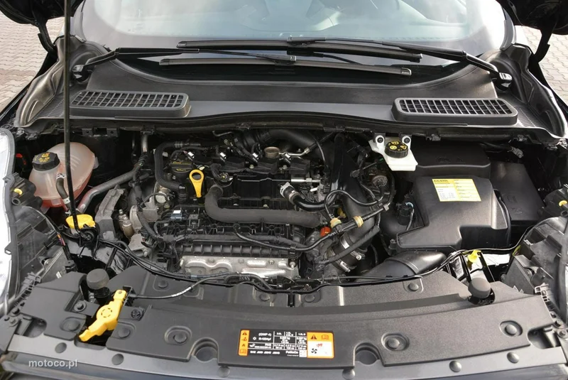 Ford Kuga II 40