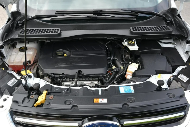 Ford Kuga II 35