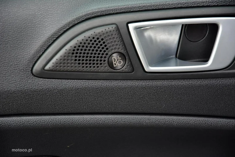 Ford EcoSport 33