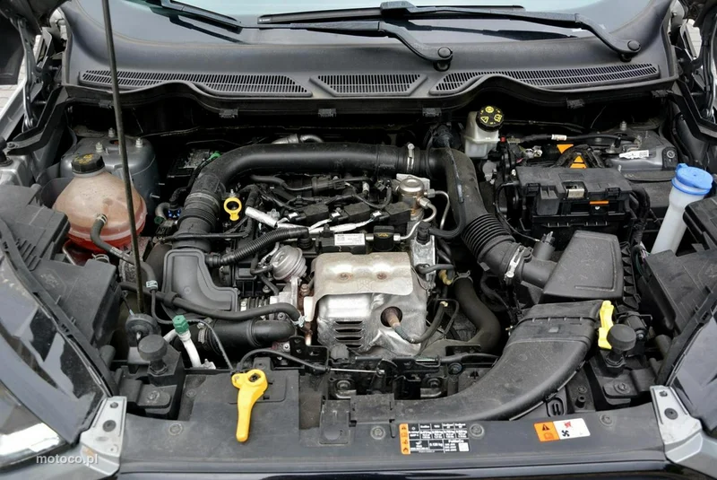 Ford EcoSport 36