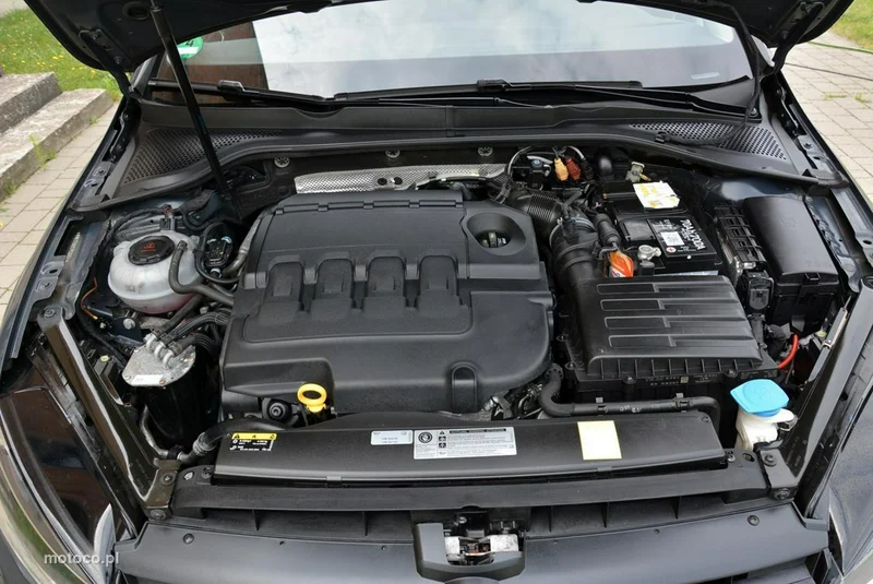Volkswagen Golf Variant 34