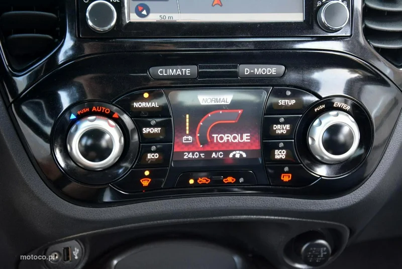 Nissan Juke 28