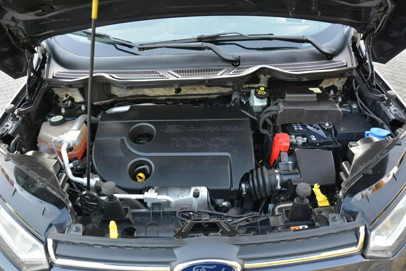 Ford EcoSport 34