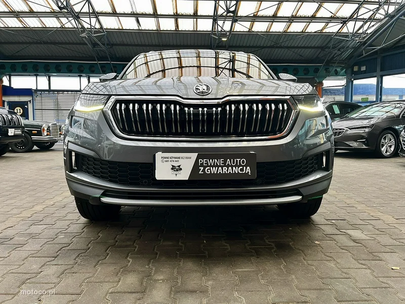 Skoda Kodiaq I 3
