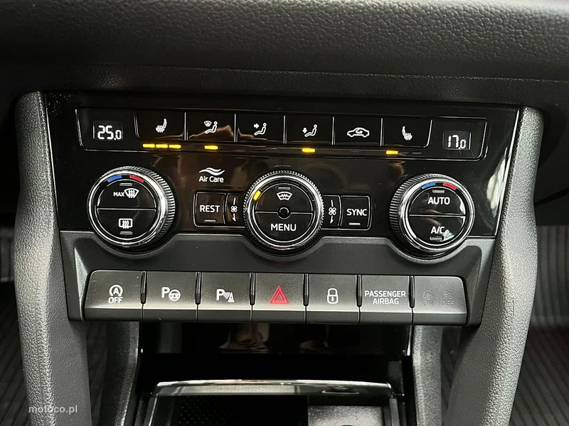 Skoda Kodiaq I 30