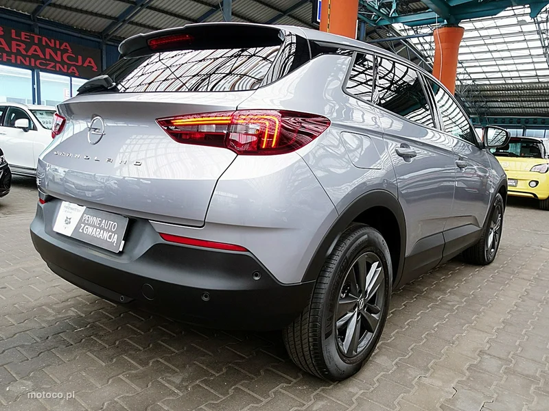 Opel Grandland I 10