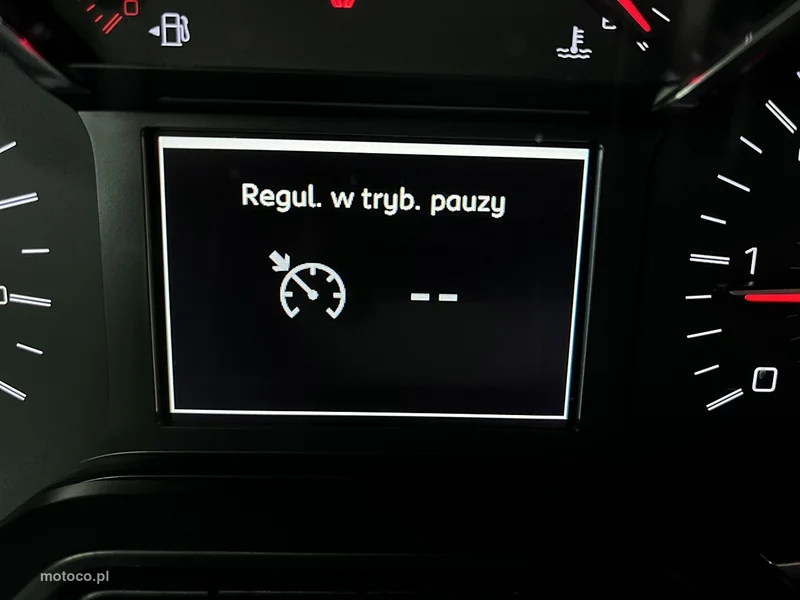 Peugeot Rifter 29