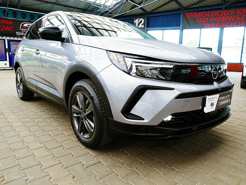 Opel Grandland I 7