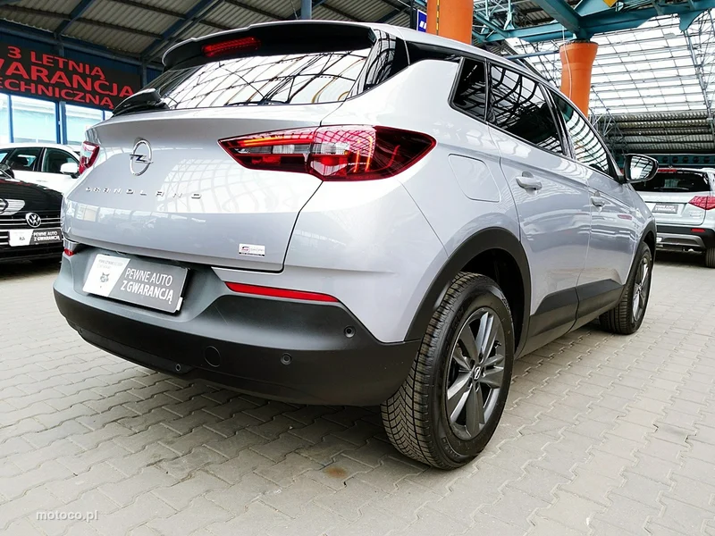 Opel Grandland I 10