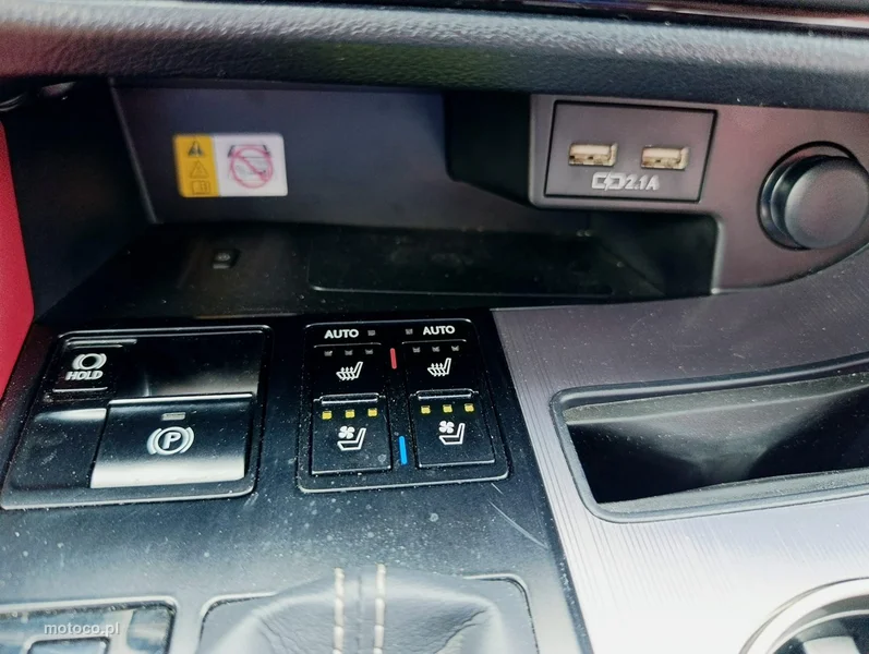 Lexus RX 19
