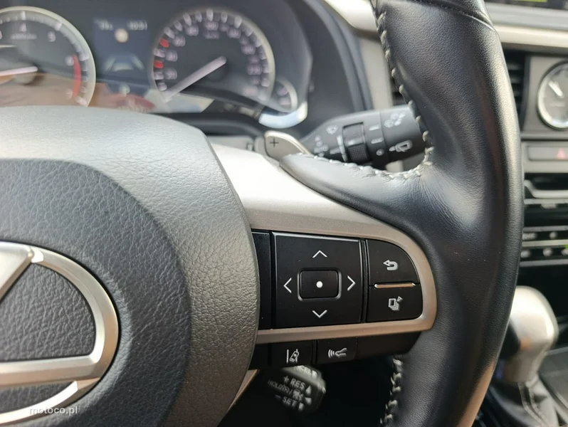 Lexus RX 19