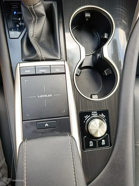 Lexus RX 21