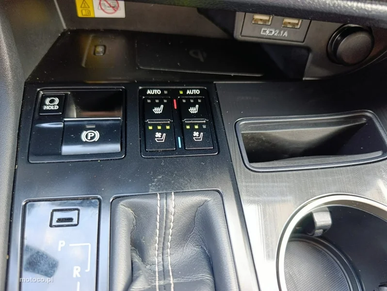 Lexus RX 23