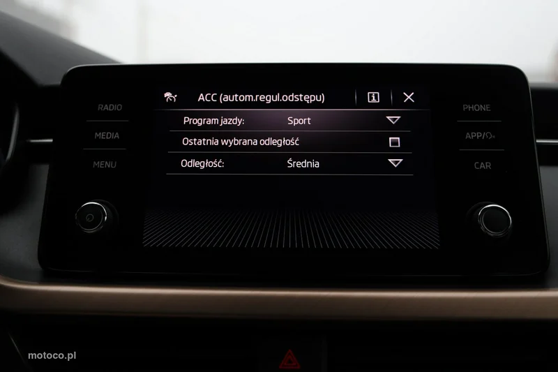 Skoda Scala I 19