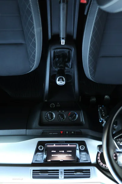 Skoda Fabia III 21