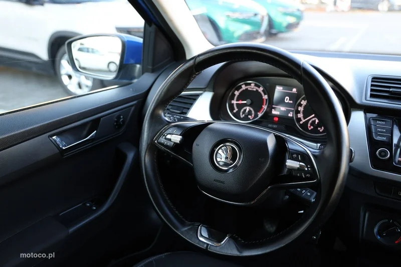 Skoda Fabia III 22