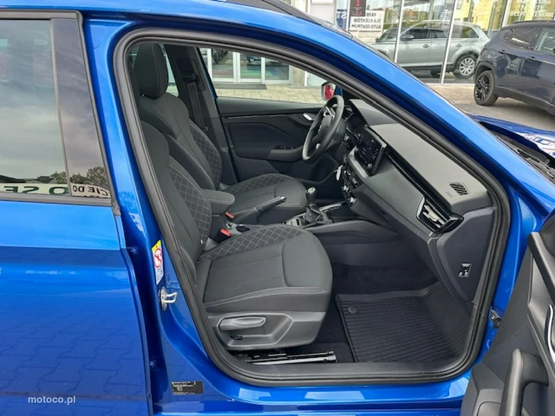 Skoda Kamiq I 14