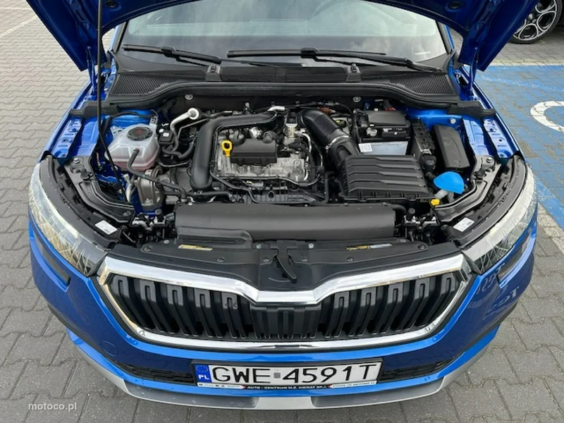 Skoda Kamiq I 22