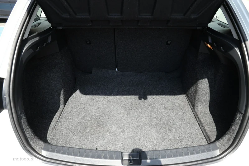Seat Ibiza 29