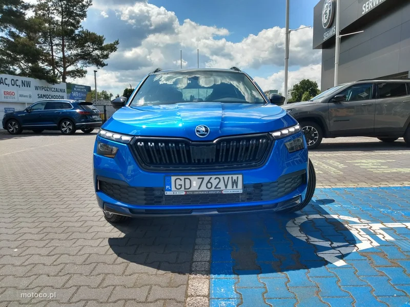 Skoda Kamiq I 3