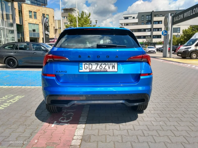 Skoda Kamiq I 6