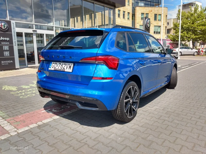 Skoda Kamiq I 7