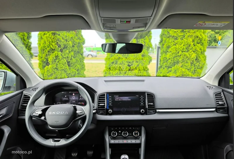 Skoda Karoq I 10