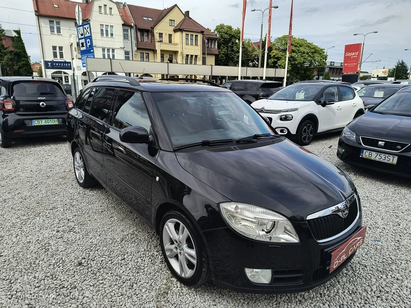 Skoda Fabia II 3
