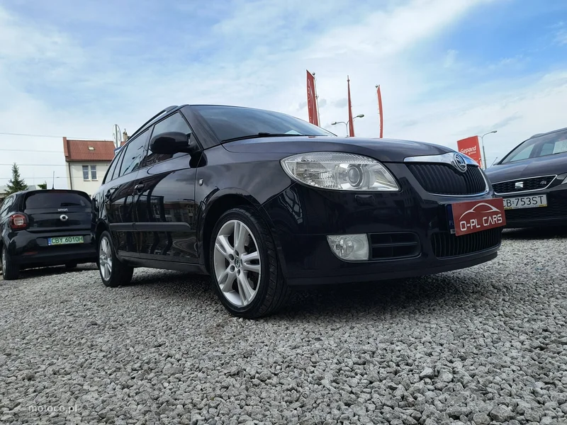 Skoda Fabia II 36