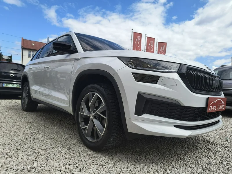 Skoda Kodiaq I 22