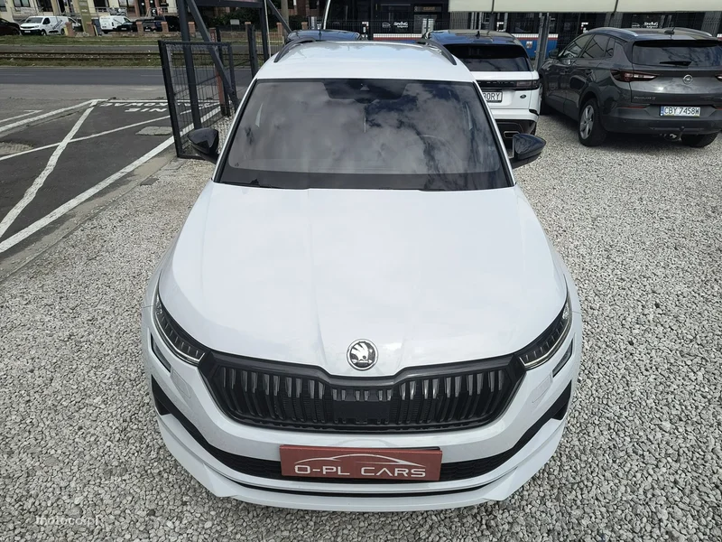 Skoda Kodiaq I 60