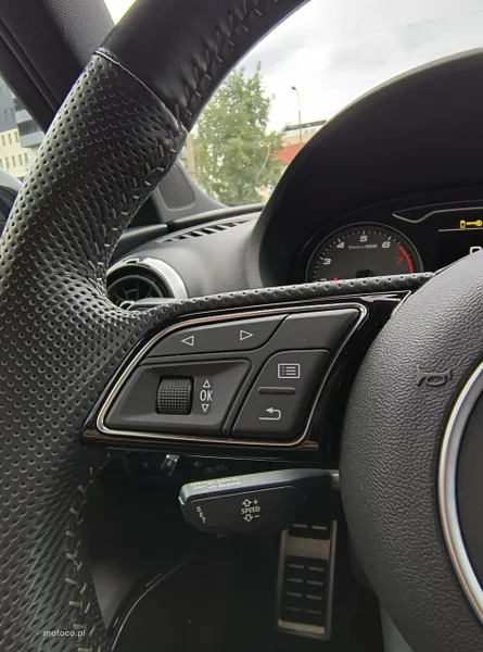 Audi S3 8V 33