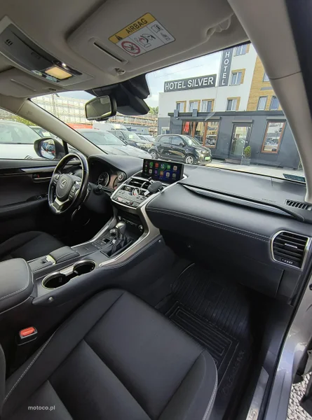 Lexus NX 16