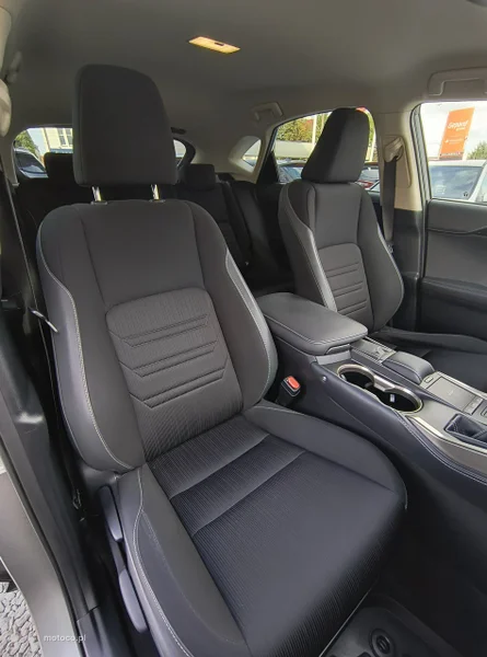 Lexus NX 17