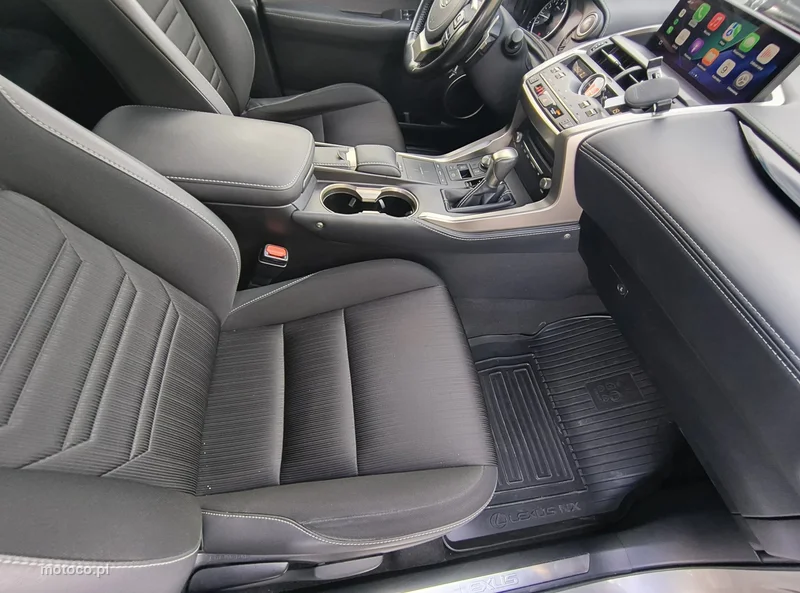 Lexus NX 18