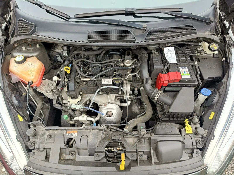 Ford Fiesta VI 19