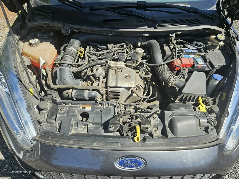 Ford Fiesta VII 16