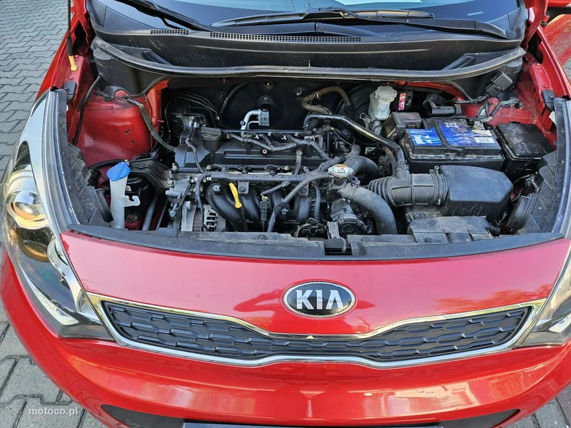 Kia Rio 17