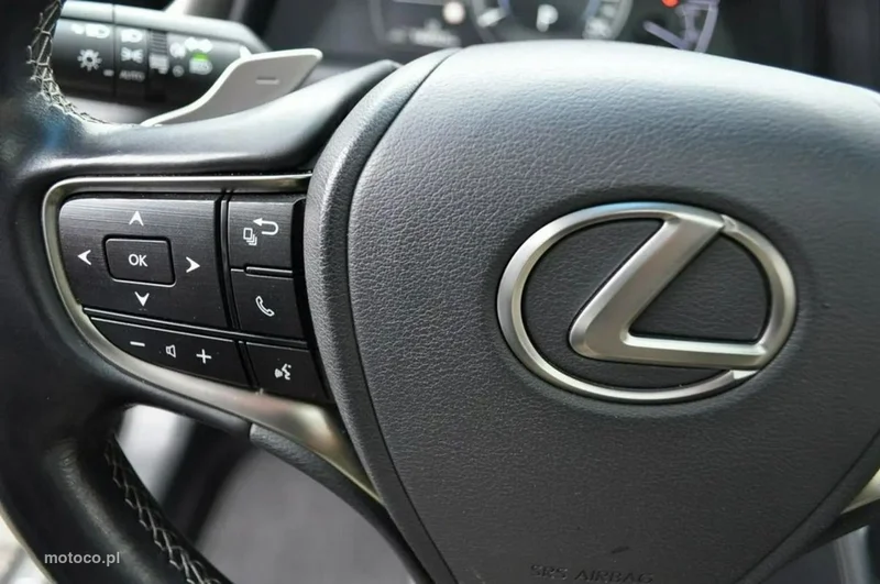 Lexus ES300 30