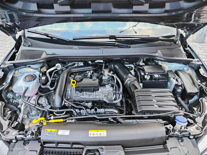 Seat Ibiza 28