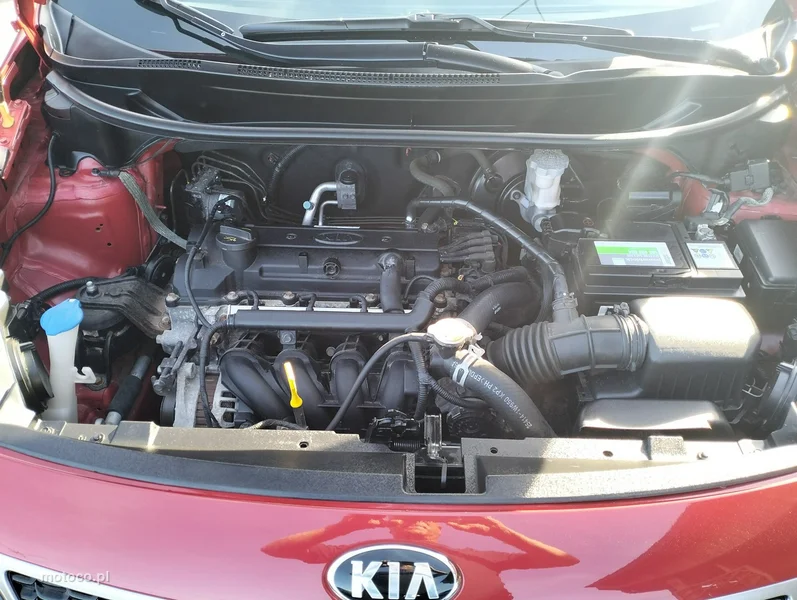 Kia Rio 33