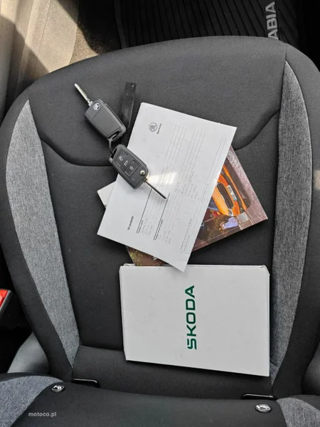 Skoda Fabia IV 30