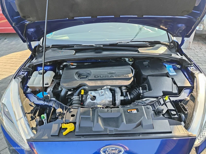 Ford Focus III 29