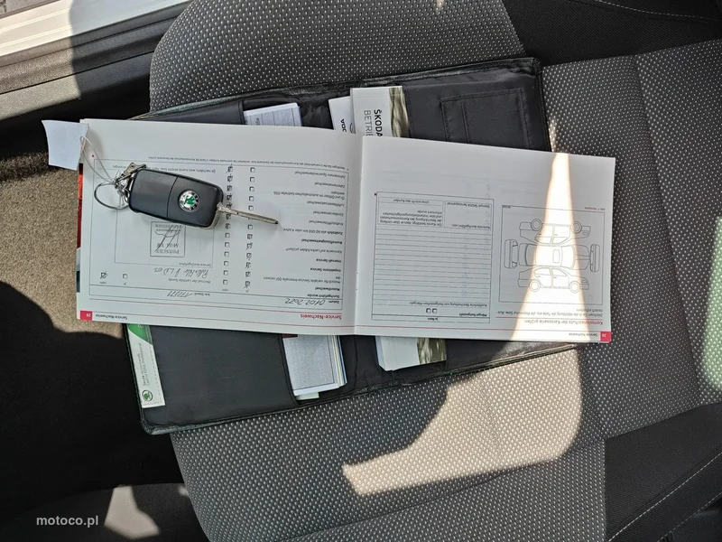 Skoda Fabia II 10
