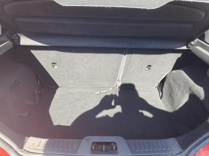 Ford Fiesta VI 28