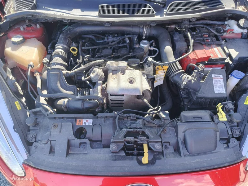 Ford Fiesta VI 30