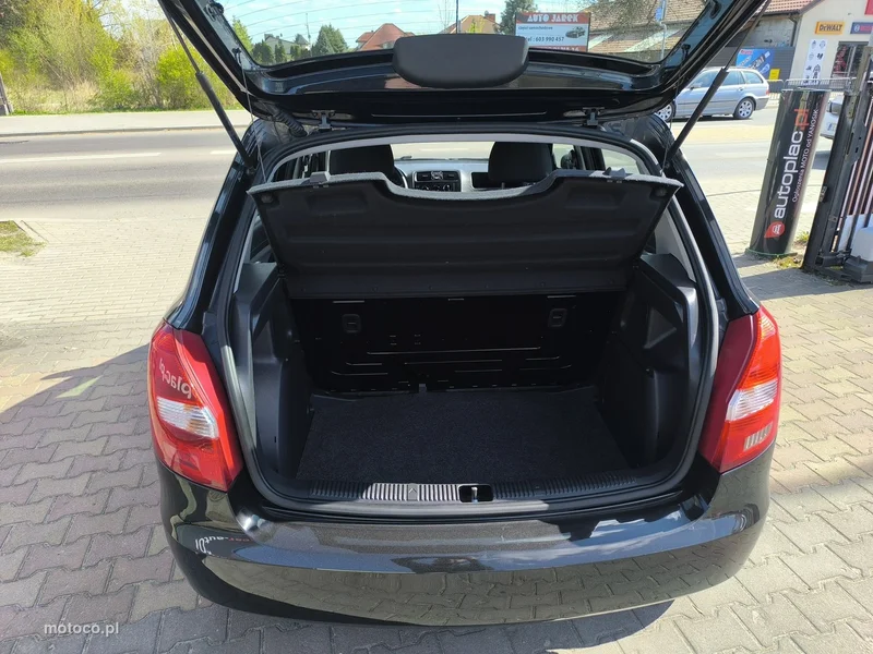 Skoda Fabia II 25